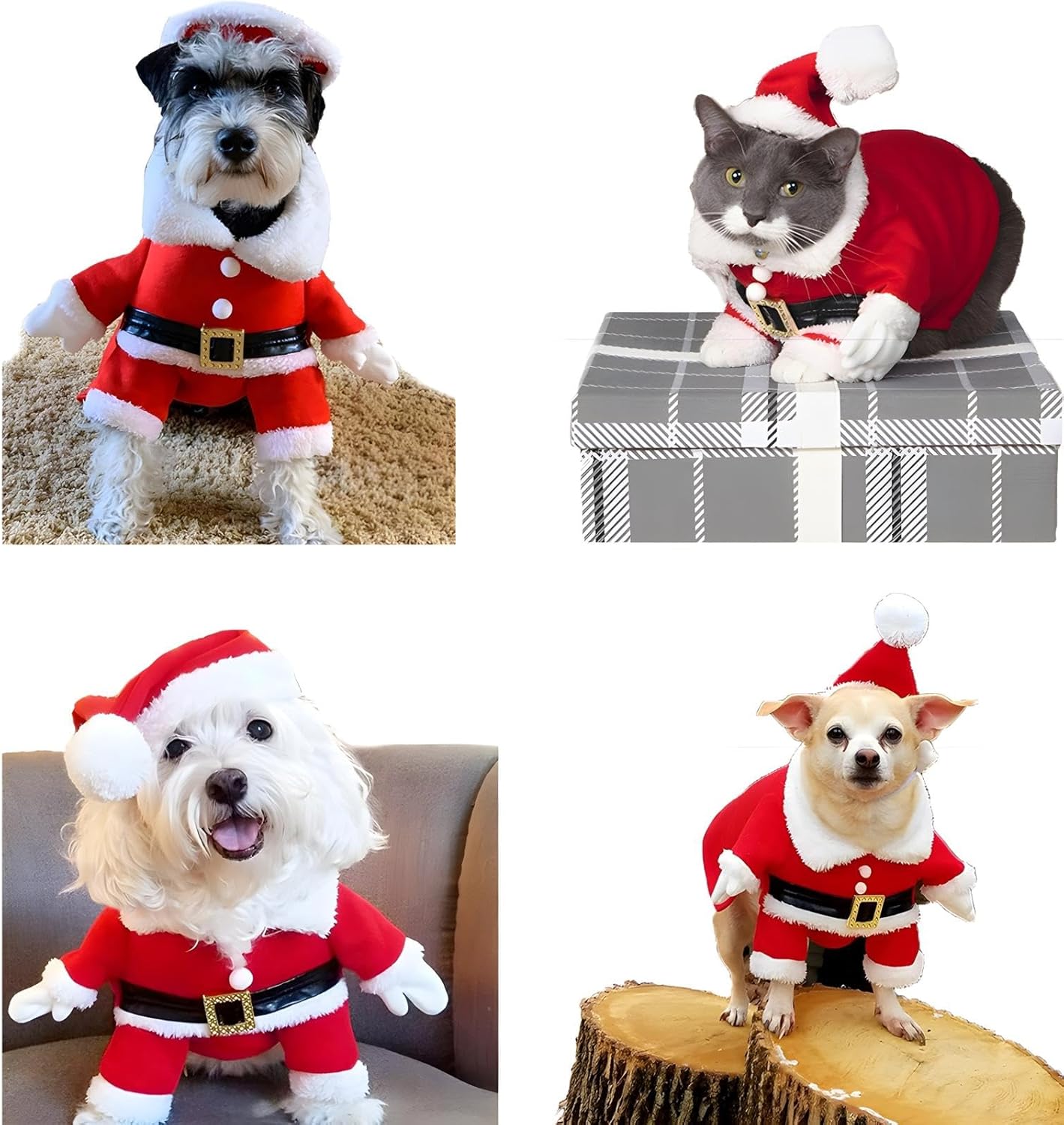 Idea Regalo Costumi Natalizi per Cani e Gatti